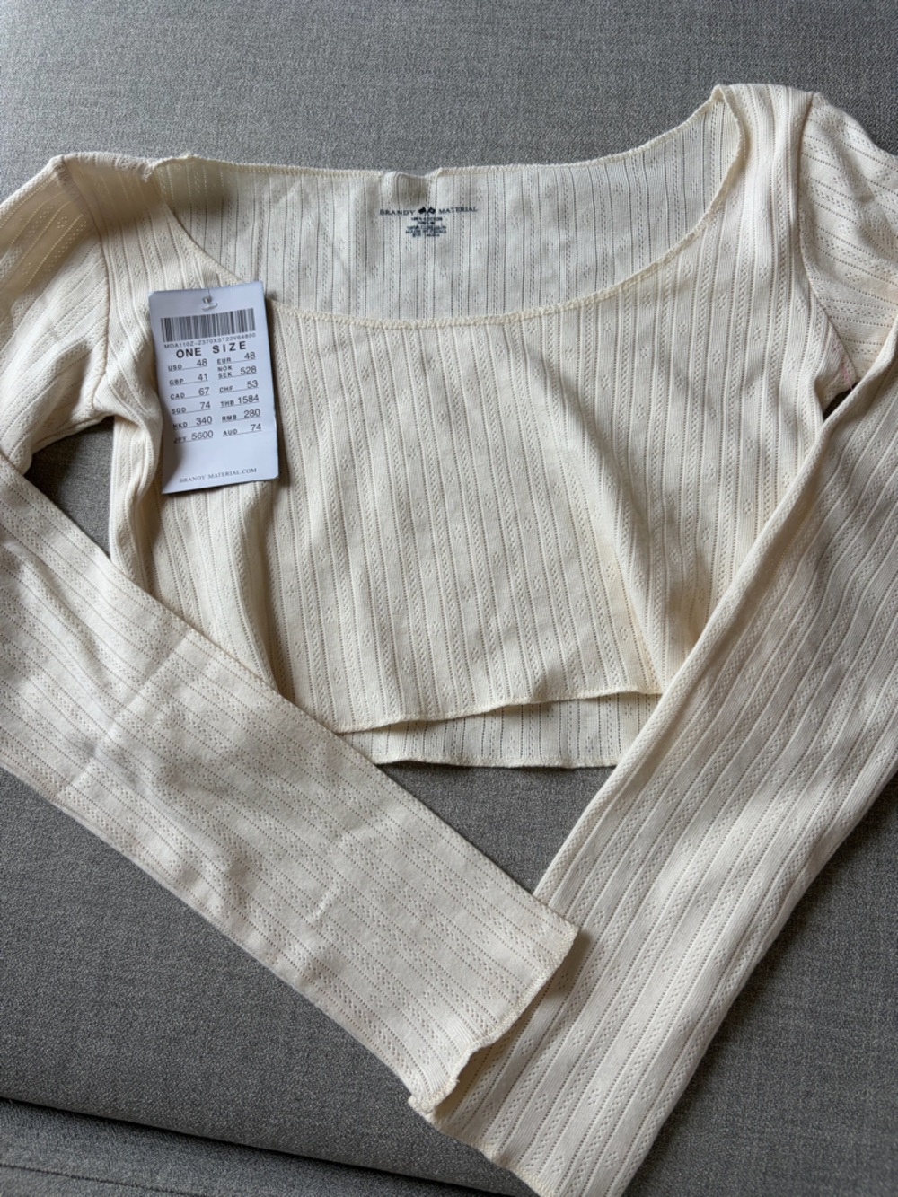 NWT brandy Melville long sleeve